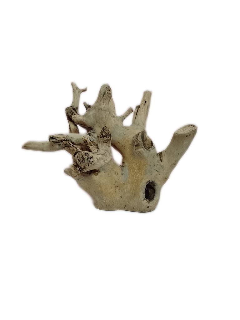 Driftwood sculpture Teak wood Nature art