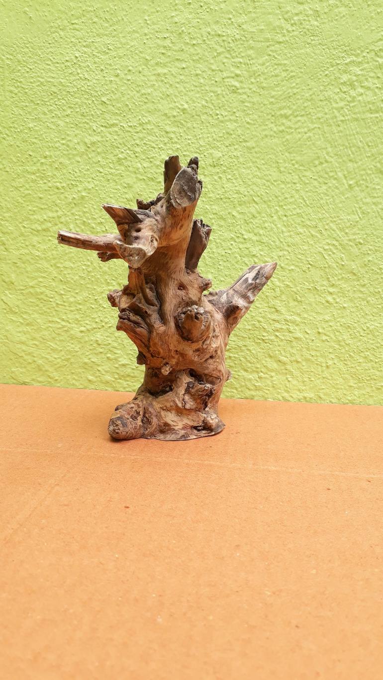 Rustic Swan Teak Driftwood sculpture