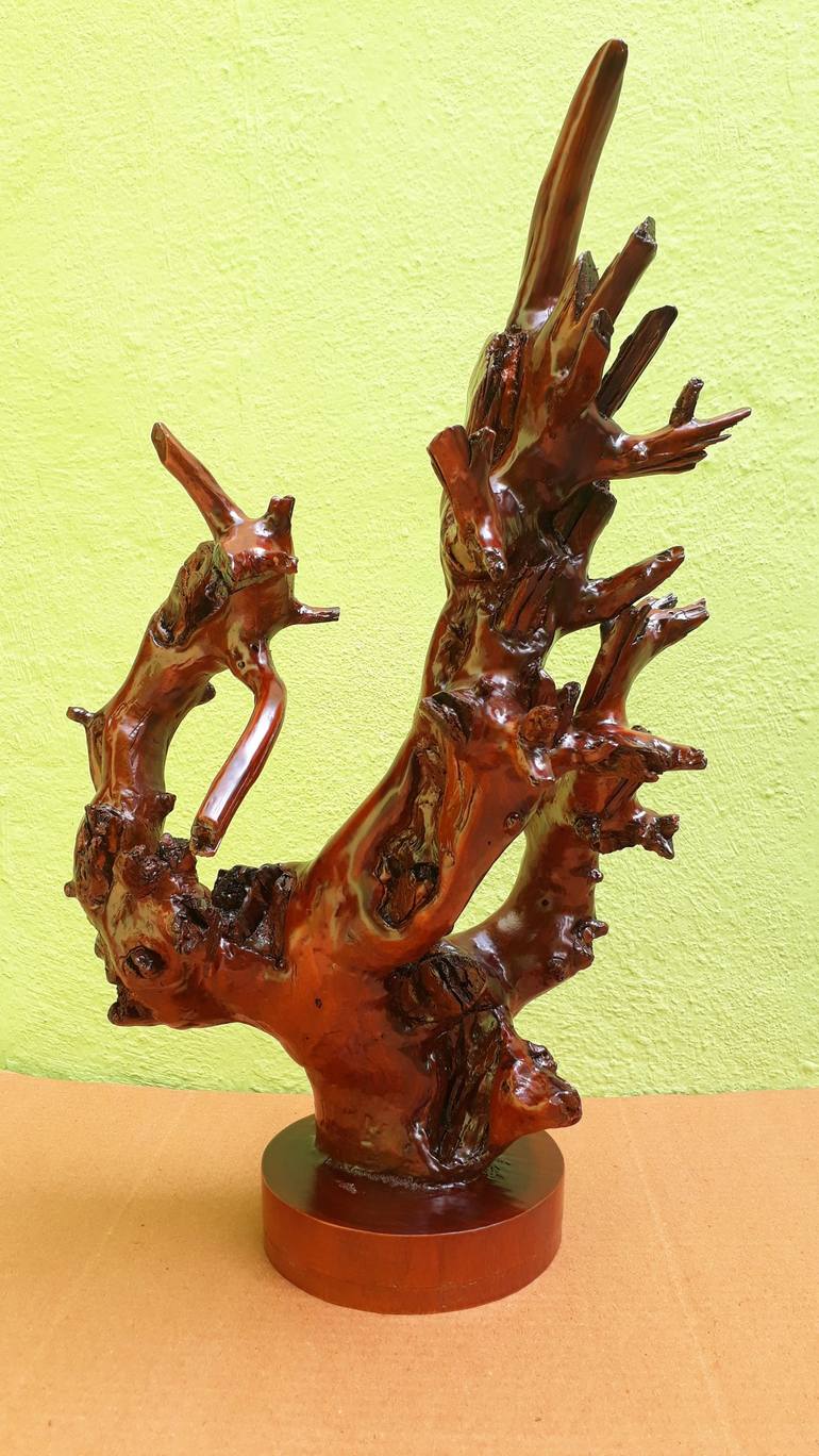 Spectacular Branch Art -Teak Driftwood Sculpture