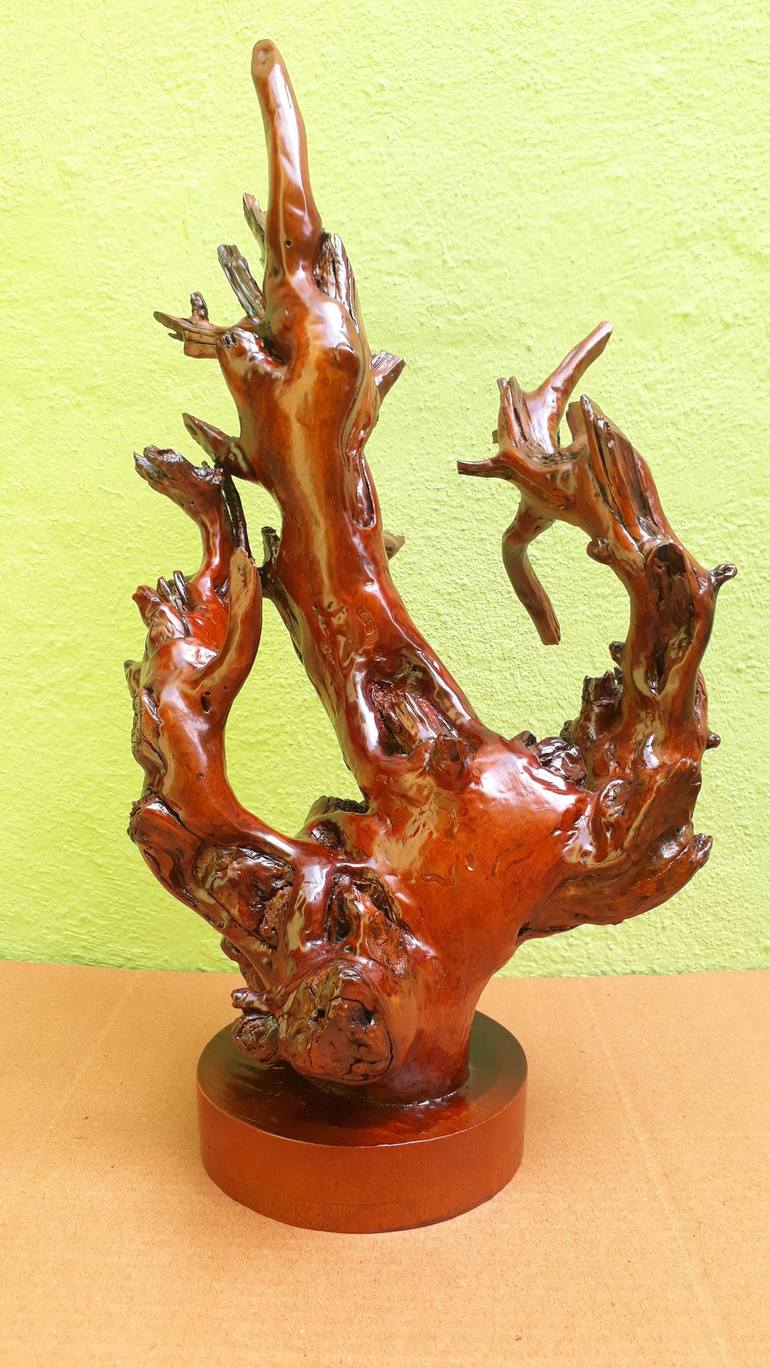 Spectacular Branch Art -Teak Driftwood Sculpture