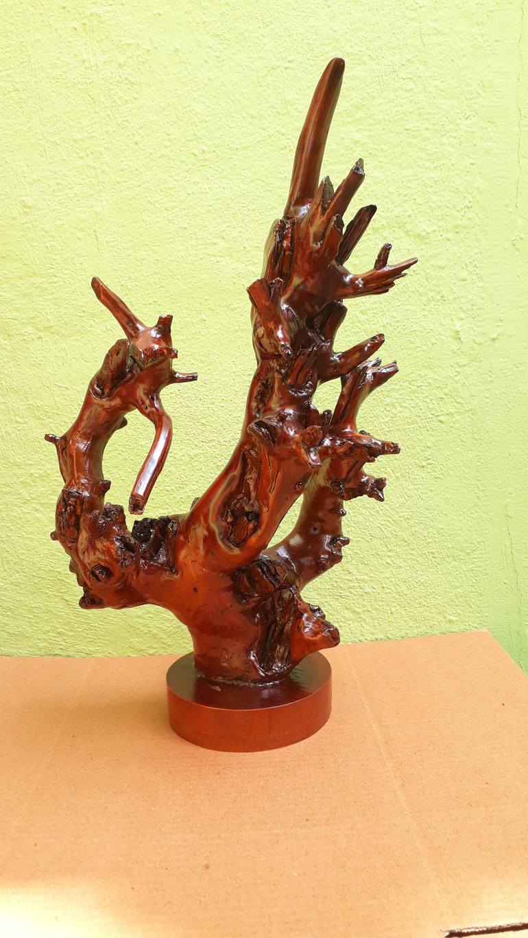 Spectacular Branch Art -Teak Driftwood Sculpture