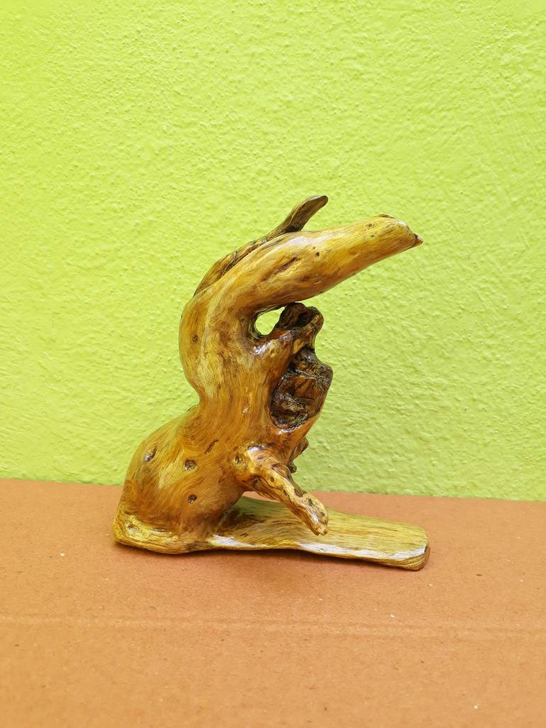 Driftwood Sculpture Great Hornbill Bird