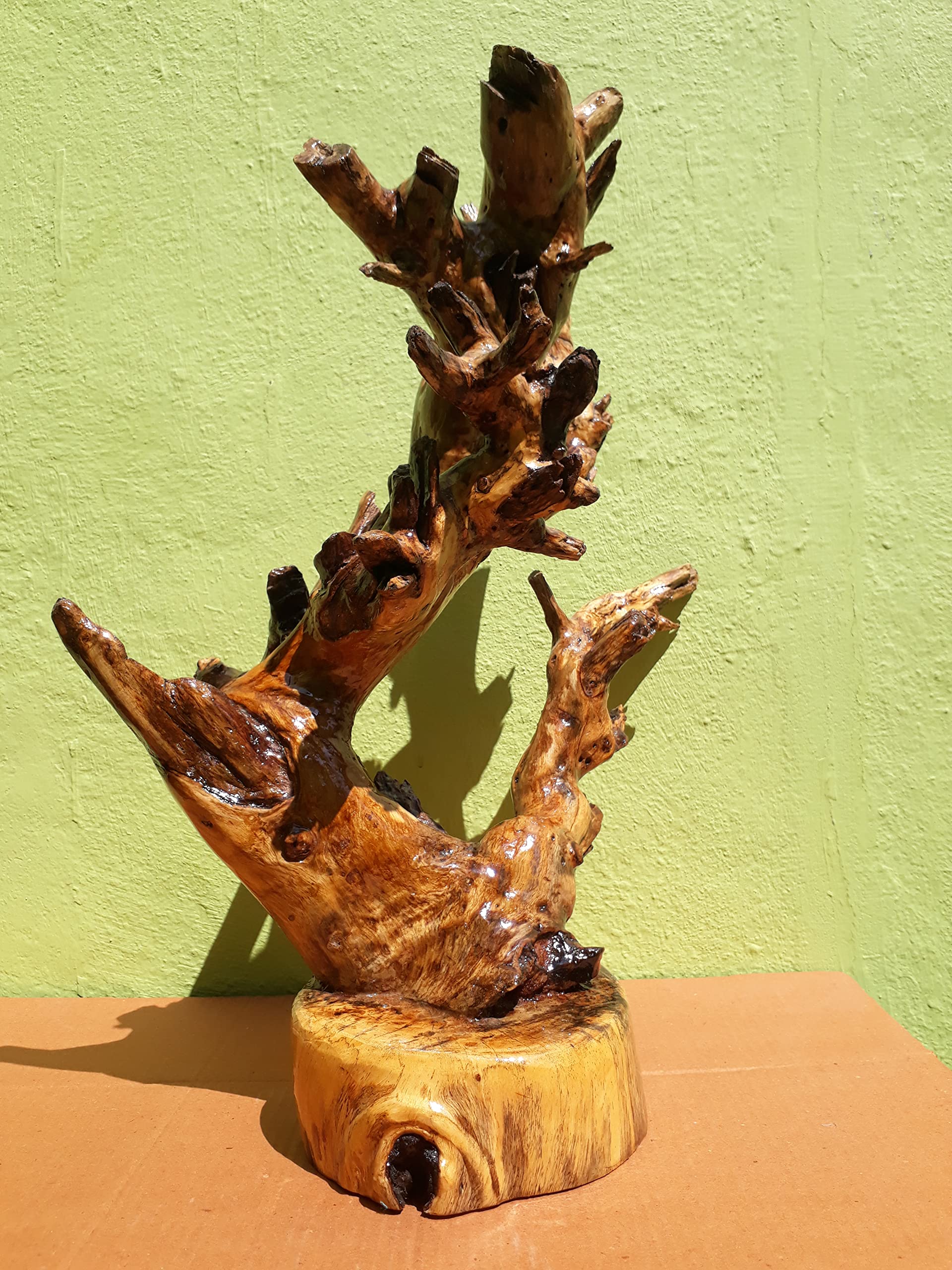 Driftwood Sculpture Modern wood art Teak wood Branches with wood base 50 CM Height