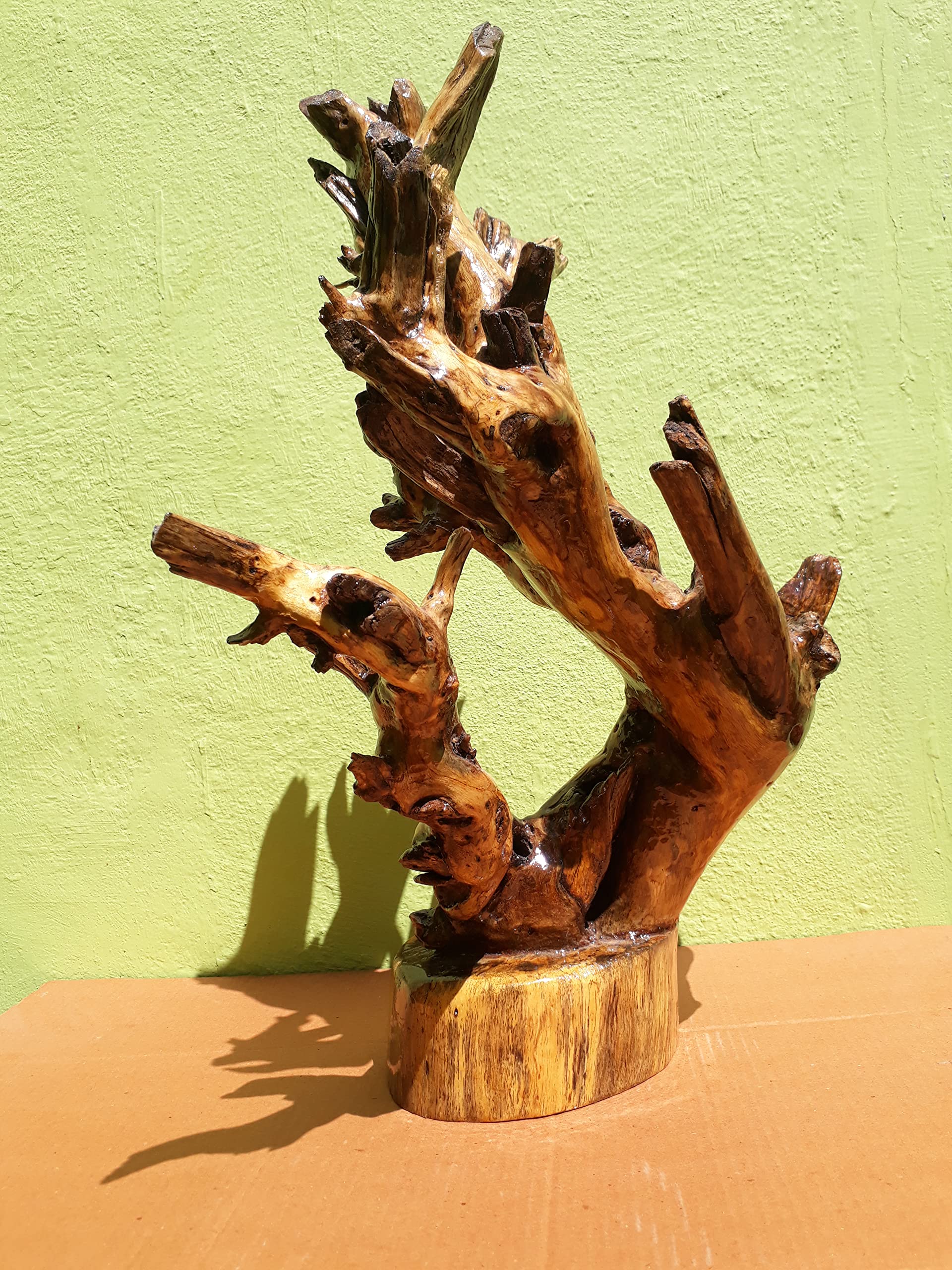 Driftwood Sculpture Modern wood art Teak wood Branches with wood base 50 CM Height