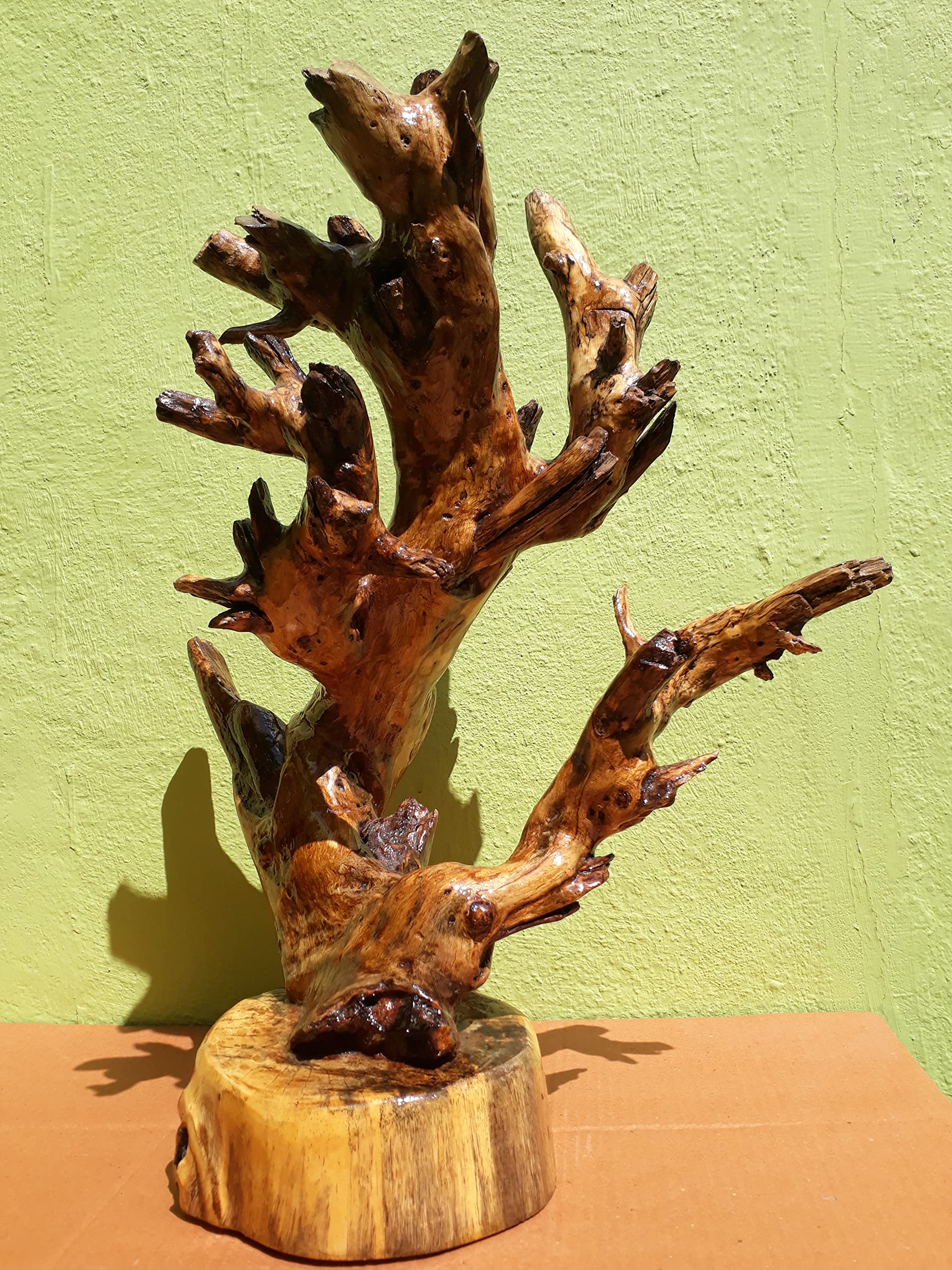 Driftwood Sculpture Modern wood art Teak wood Branches with wood base 50 CM Height