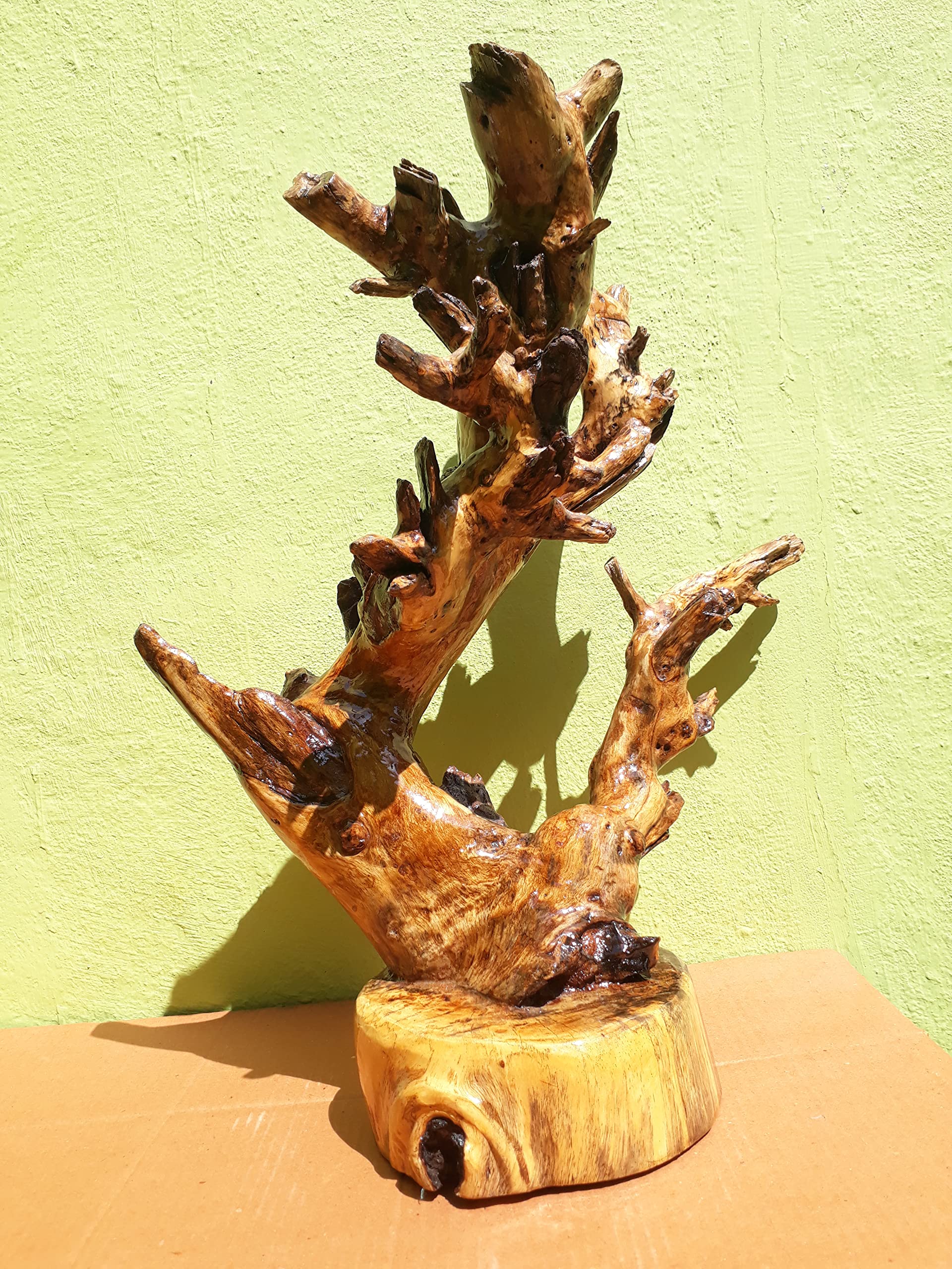 Driftwood Sculpture Modern wood art Teak wood Branches with wood base 50 CM Height