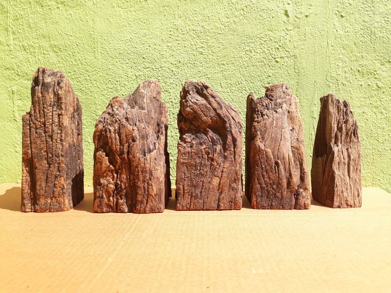 Driftwood Art Five cut Red rotten woods