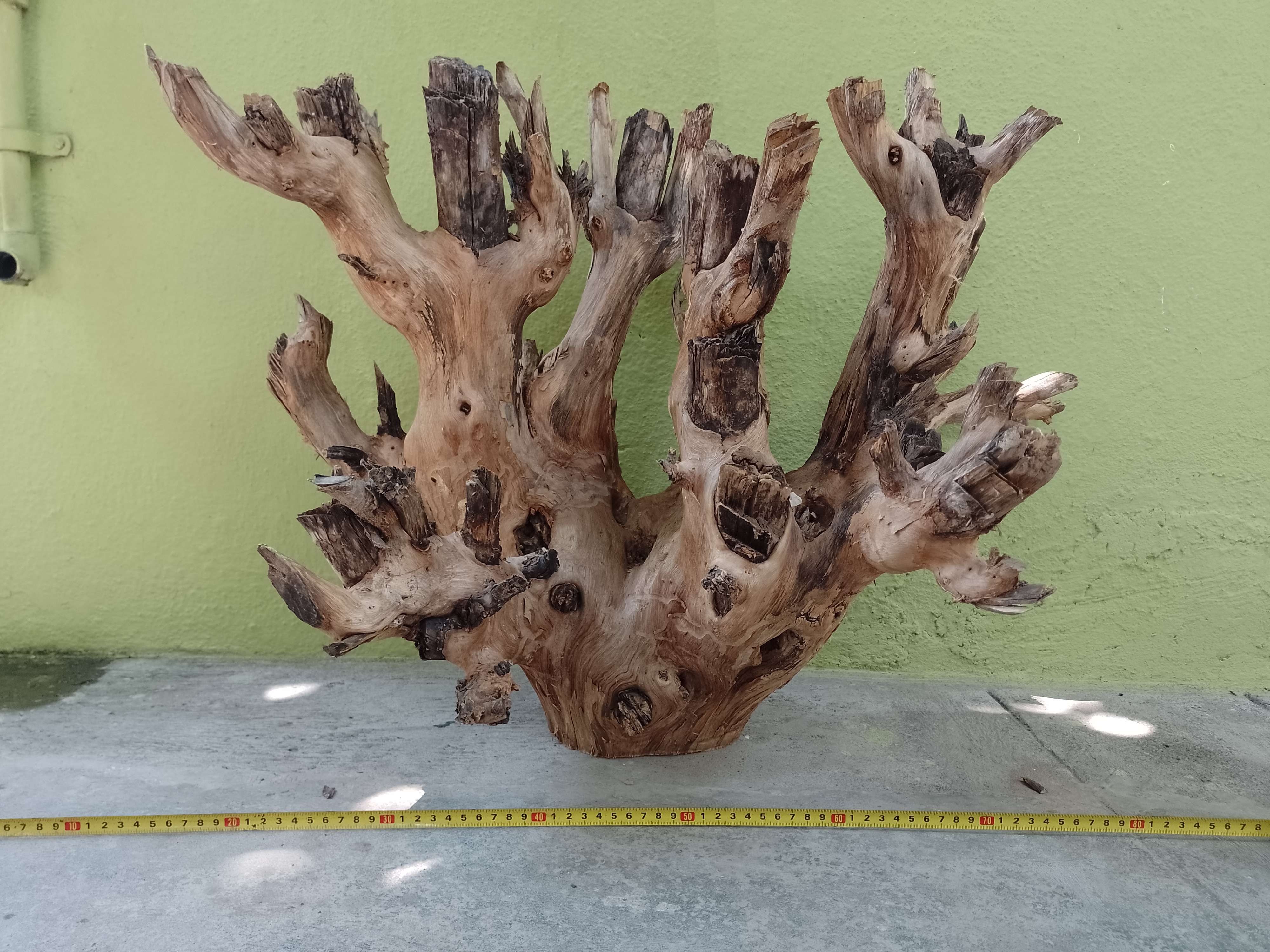 Driftwood For Aquarium Original Teak wood 80 Cm Long and 60 CM Height (Large Teak Branch) Recycled wood