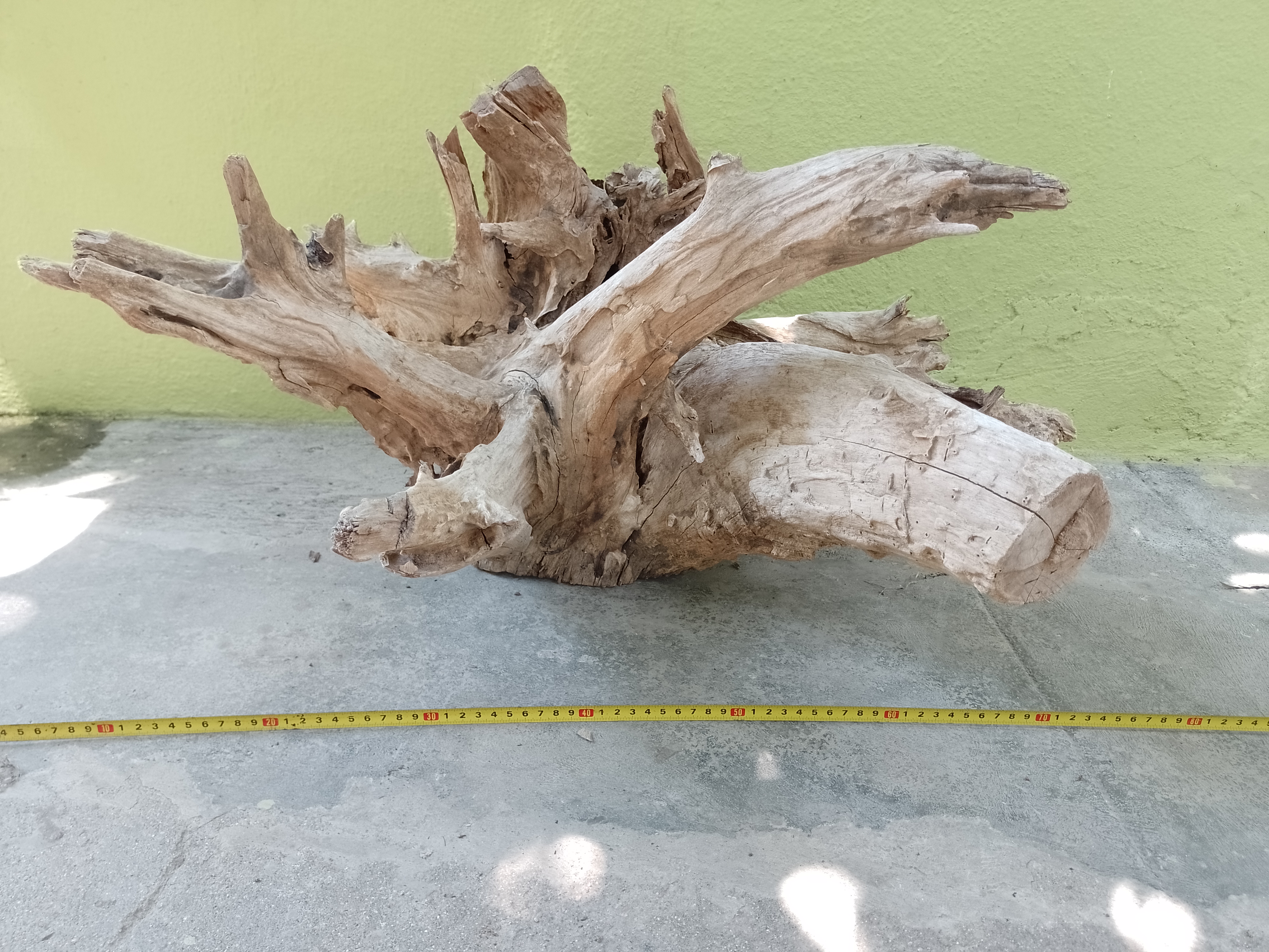 Driftwood For Aquarium Original Teak wood Root 70 CM Long suitable for Coffee table making or Large aquarium