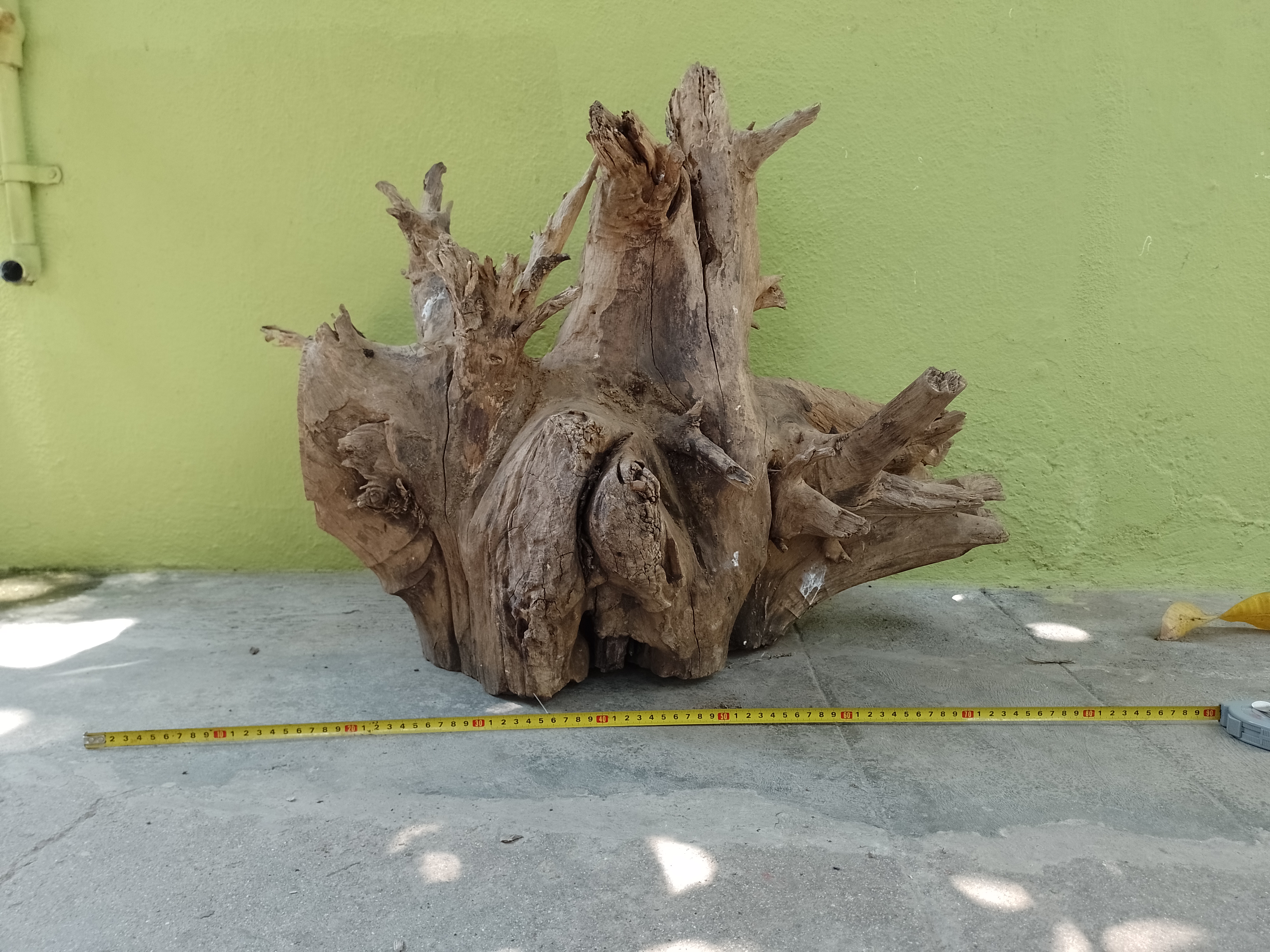 Teak root Driftwood Heavy 50 kg weight 75 cm long 