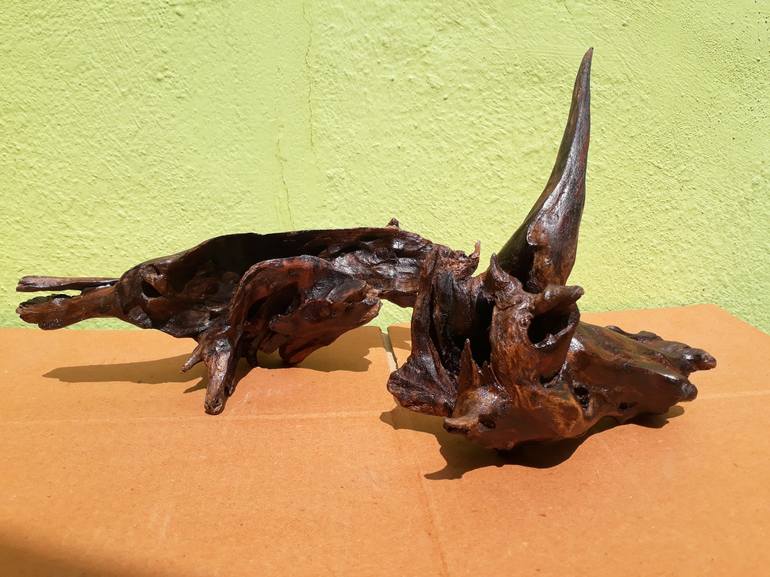 Driftwood Art Two Pieces Bees Wax Polished 