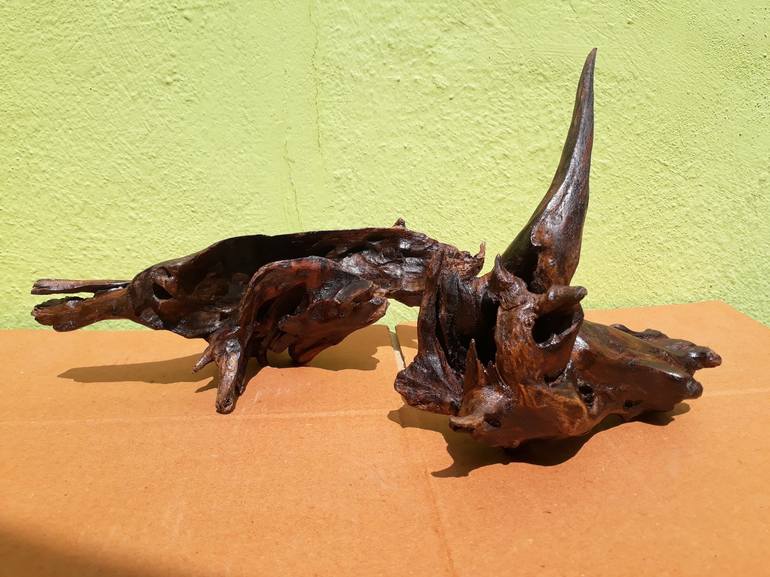 Driftwood Art Two Pieces Bees Wax Polished 