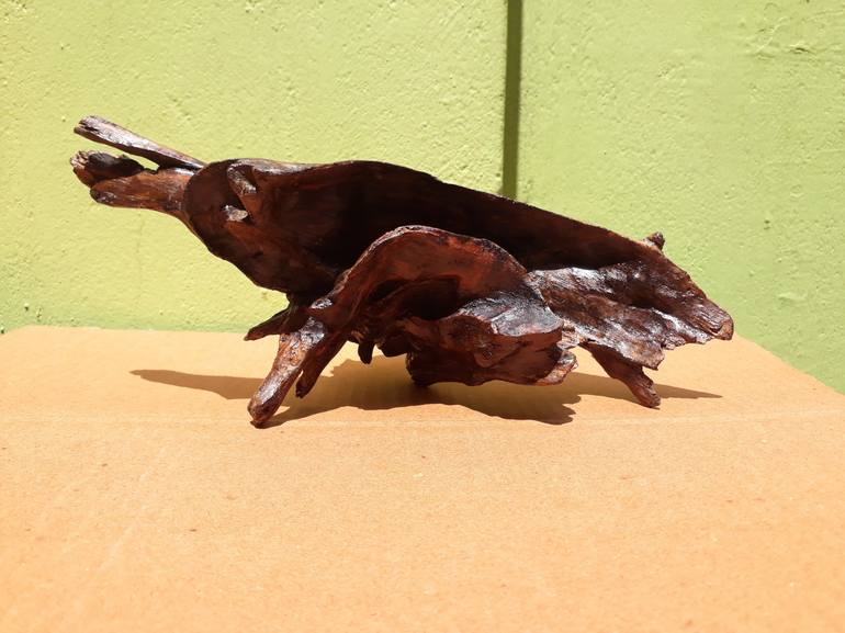 Driftwood Art Two Pieces Bees Wax Polished 