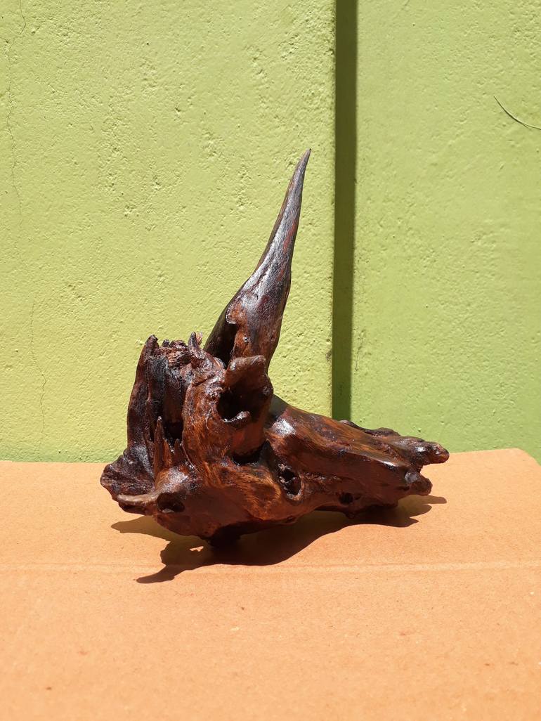 Driftwood Art Two Pieces Bees Wax Polished 