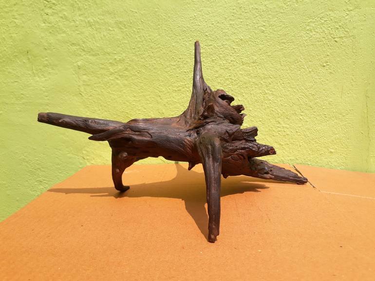 Driftwood Art Beeswax Polished 30 Cm Long 