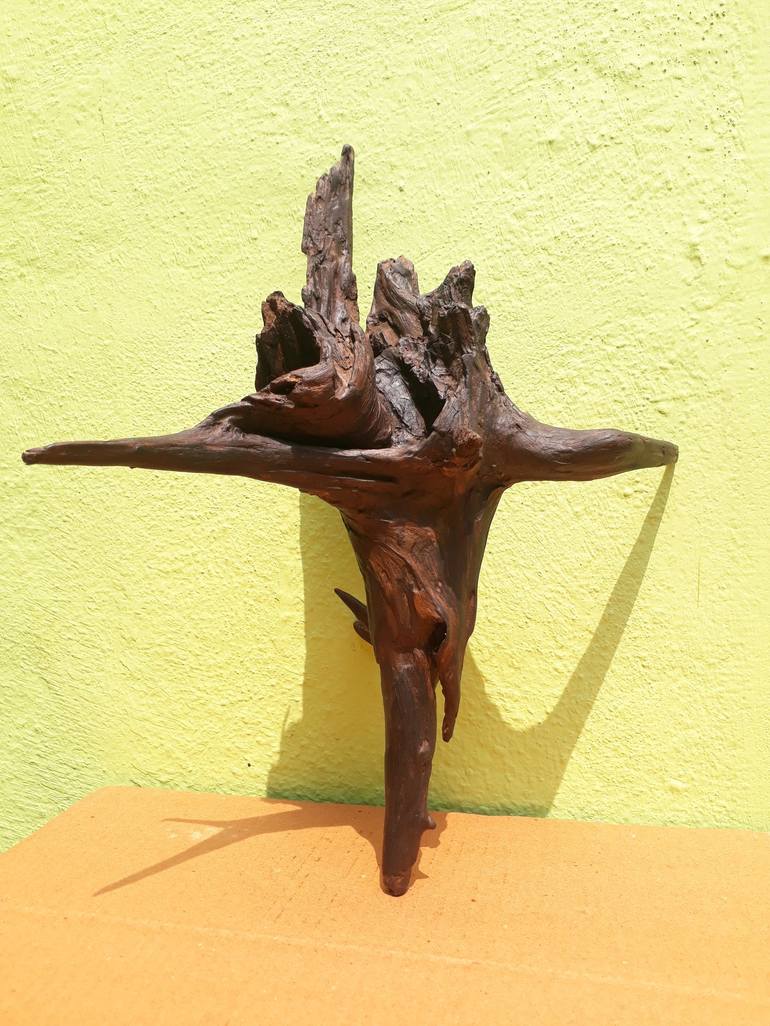 Driftwood Art Beeswax Polished 30 Cm Long 