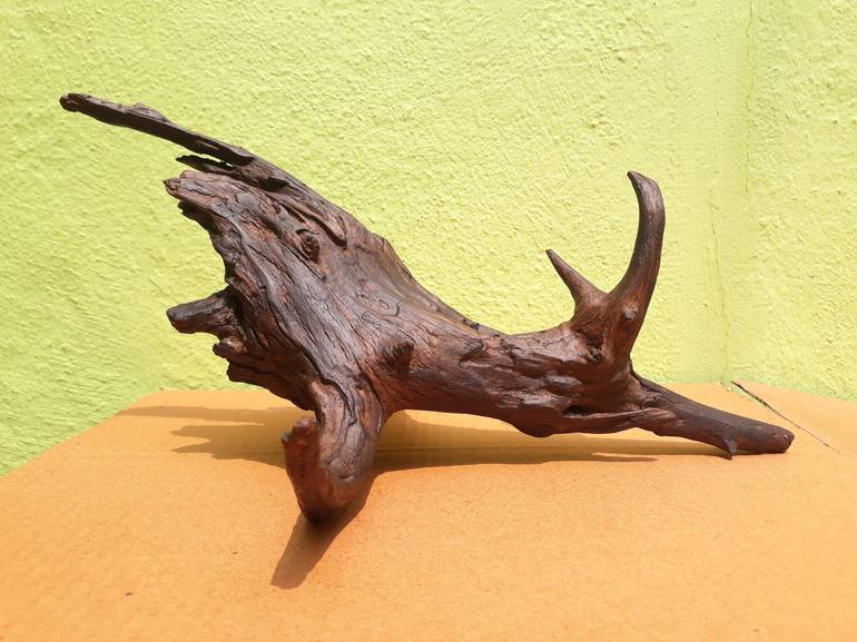 Driftwood Art Beeswax Polished 30 Cm Long 