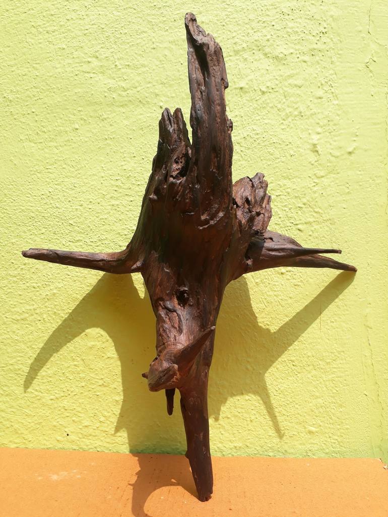 Driftwood Art Beeswax Polished 30 Cm Long 
