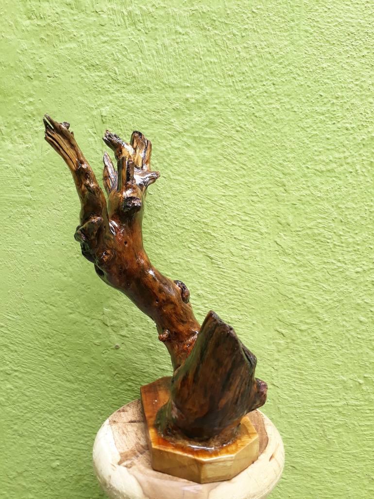 Teak Wood sculpture Small Driftwood Branch Table Decor