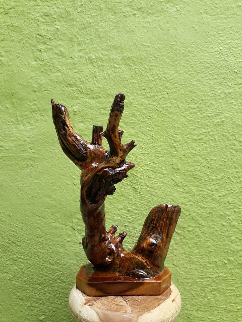 Teak Wood sculpture Small Driftwood Branch Table Decor