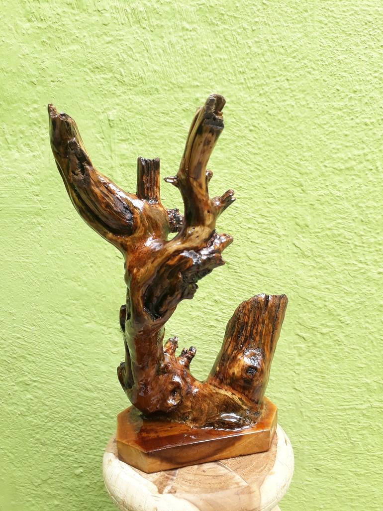 Teak Wood sculpture Small Driftwood Branch Table Decor