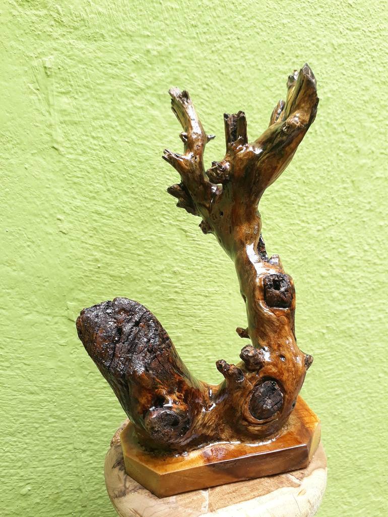 Teak Wood sculpture Small Driftwood Branch Table Decor