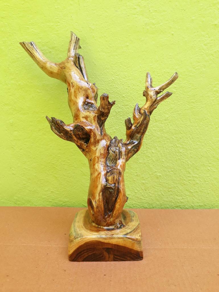 Driftwood Dead Tree look Branch Sculpture (Complete Teak Wood)