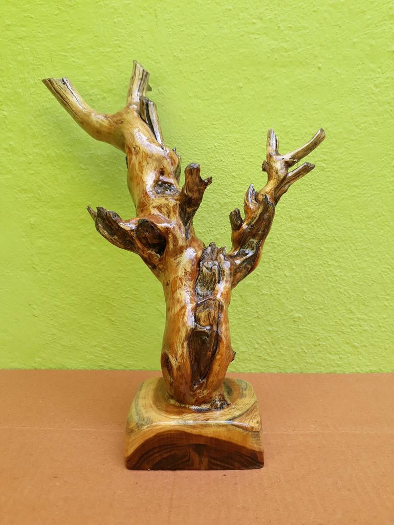 Driftwood Dead Tree look Branch Sculpture (Complete Teak Wood)