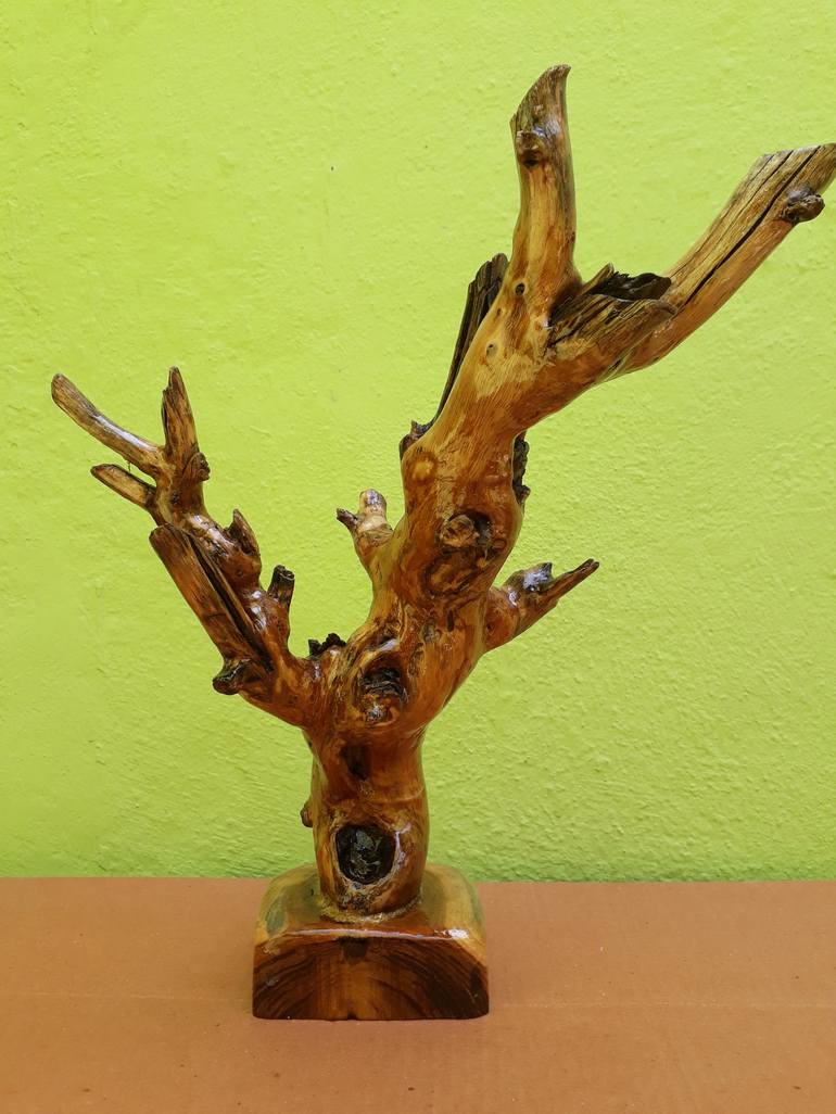 Driftwood Dead Tree look Branch Sculpture (Complete Teak Wood)