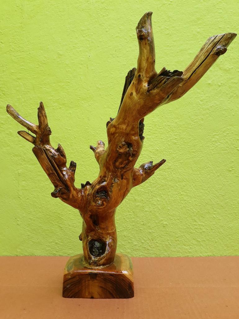 Driftwood Dead Tree look Branch Sculpture (Complete Teak Wood)