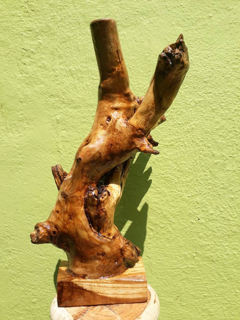 Driftwood Sculpture