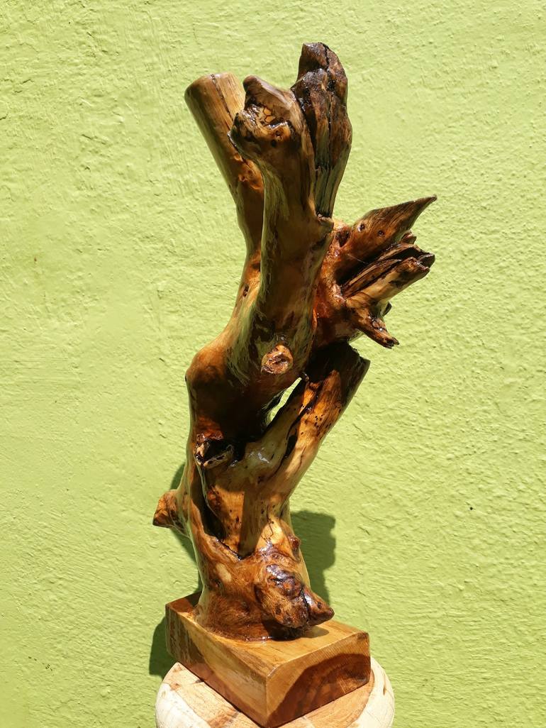 Driftwood Sculpture
