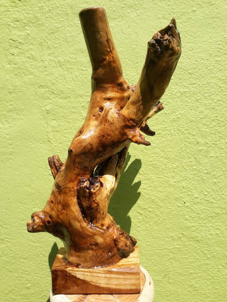 Driftwood Sculpture