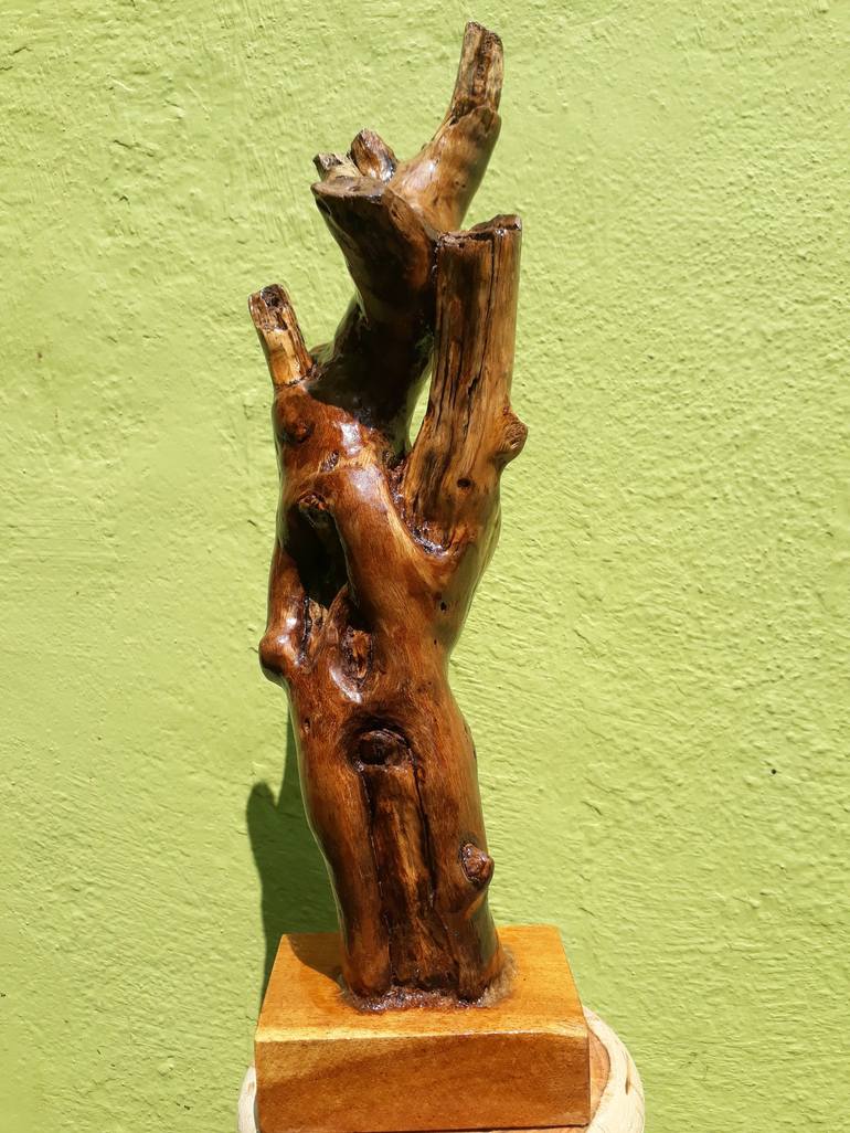 Driftwood Sculpture
