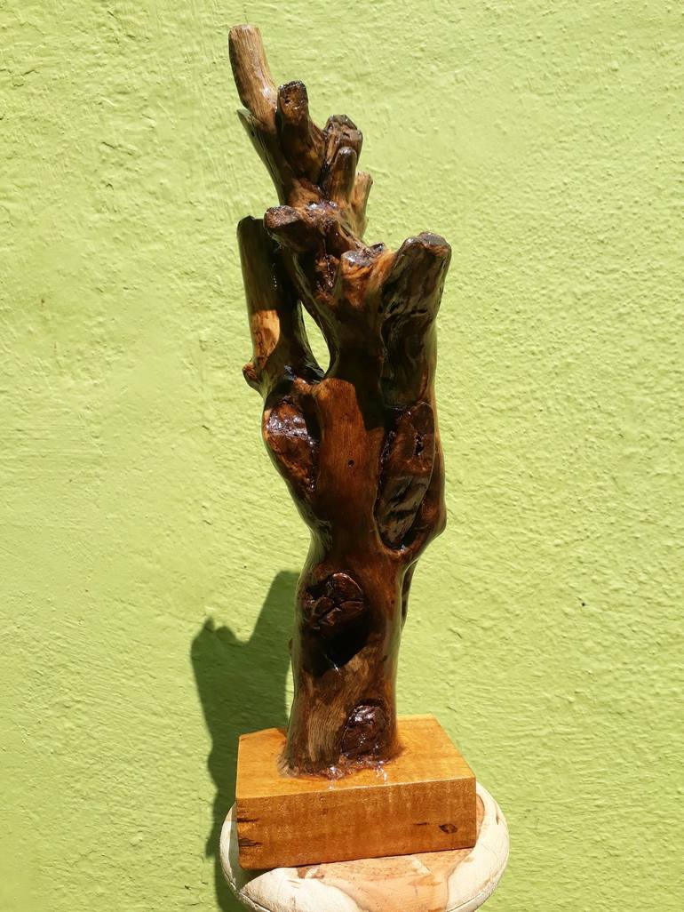 Driftwood Sculpture