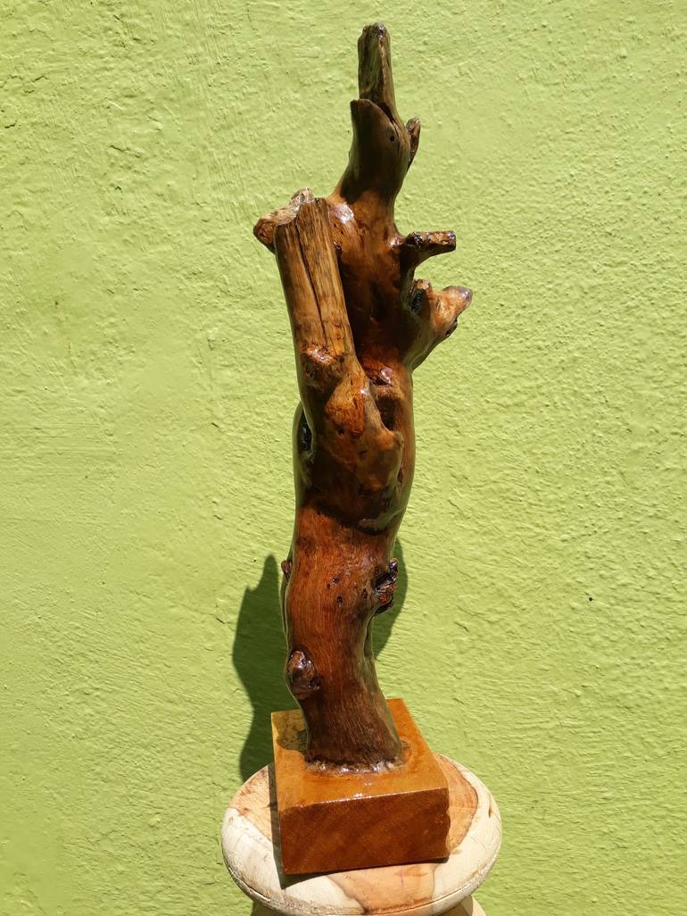 Driftwood Sculpture
