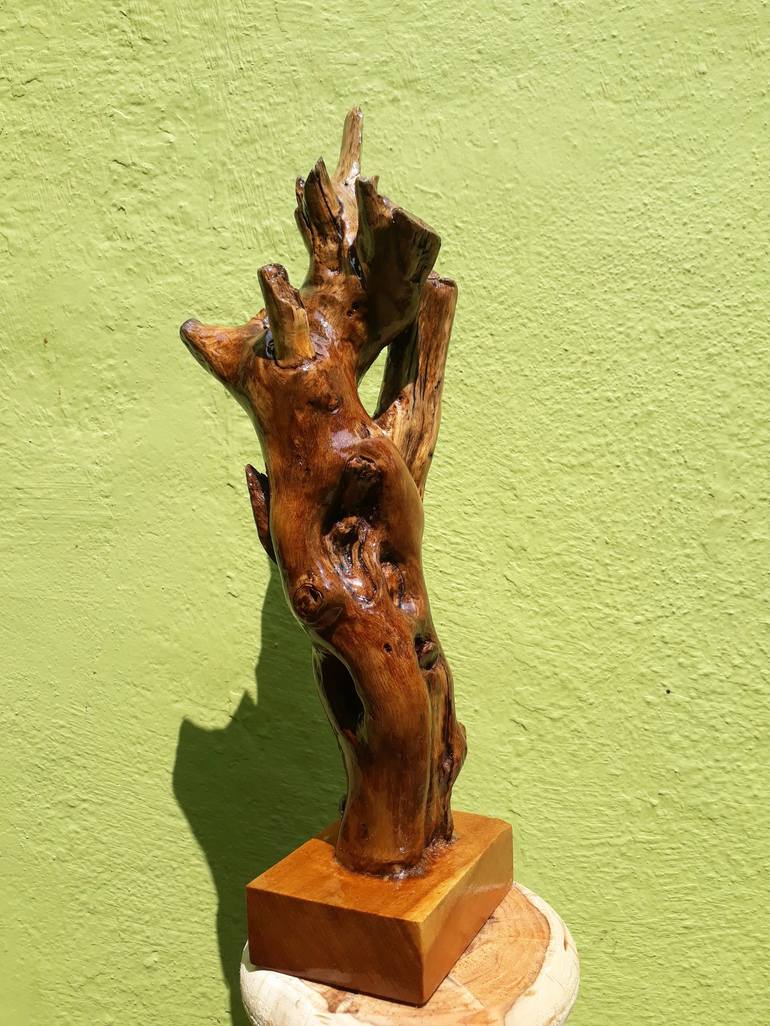 Driftwood Sculpture