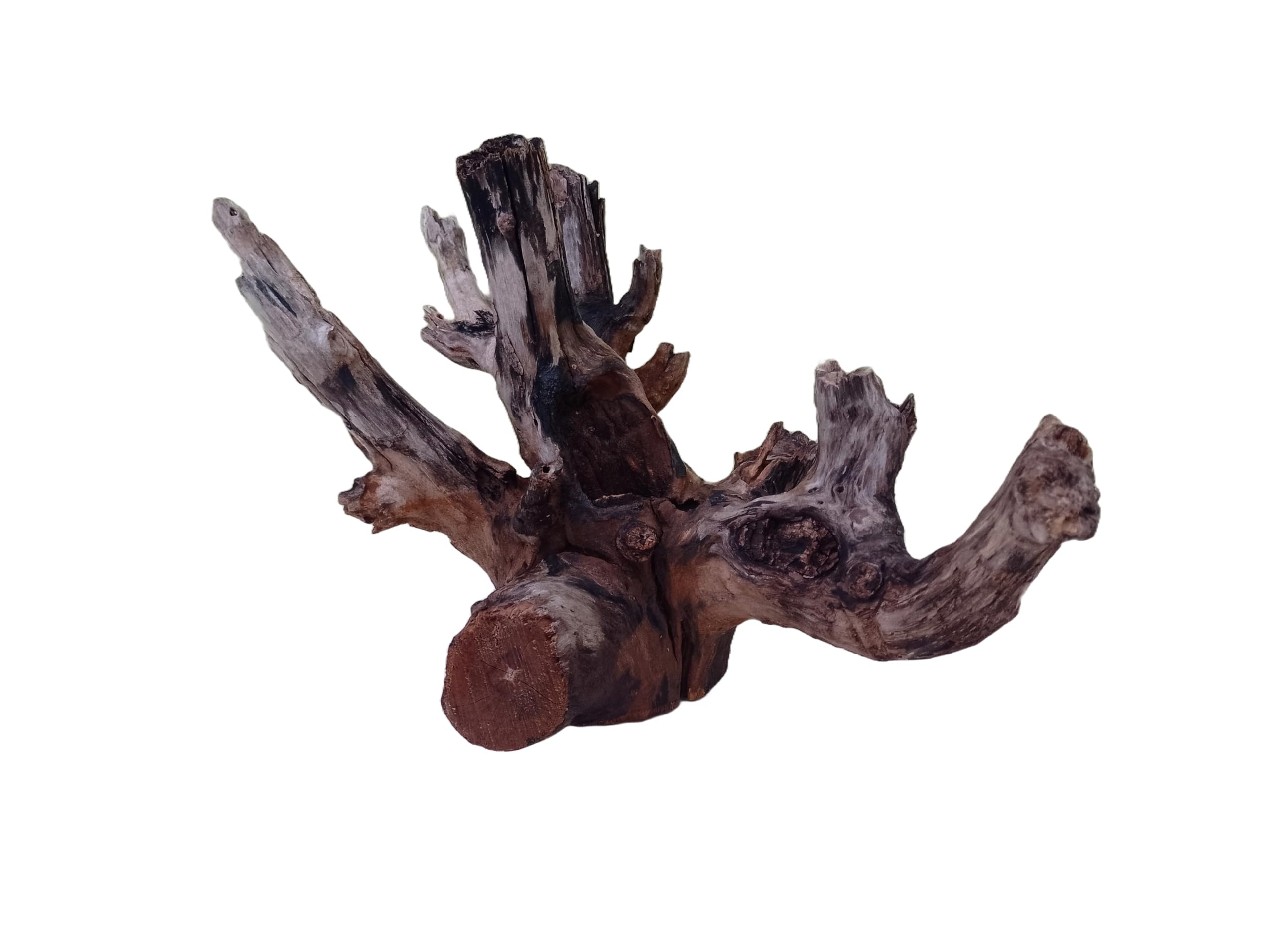 Driftwood For Aquarium Original Teak wood (dimensions approximately 40-50cm long).