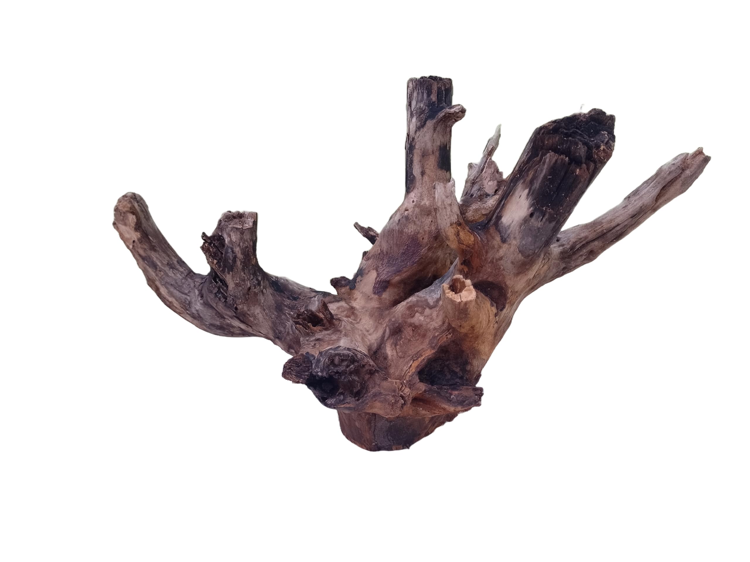 Driftwood For Aquarium Original Teak wood (dimensions approximately 40-50cm long).