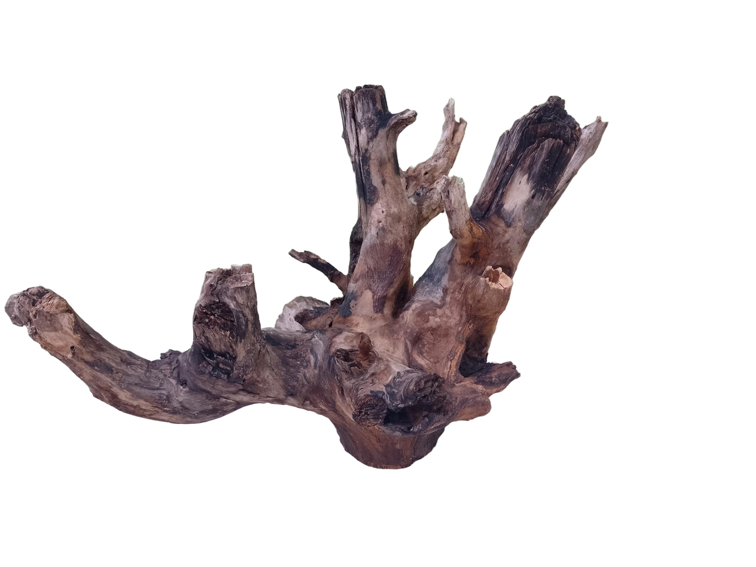 Driftwood For Aquarium Original Teak wood (dimensions approximately 40-50cm long).