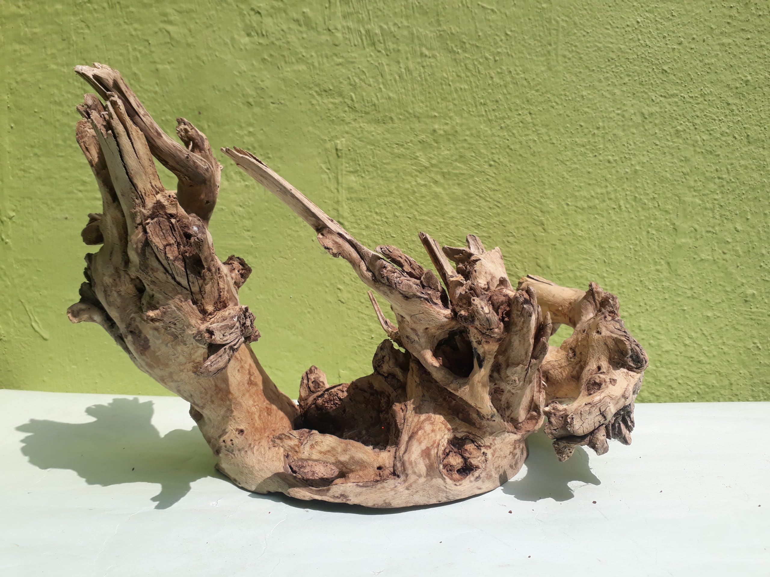 Driftwood For Aquarium Elite Original Teak wood Sanded wood (Rare Collection)