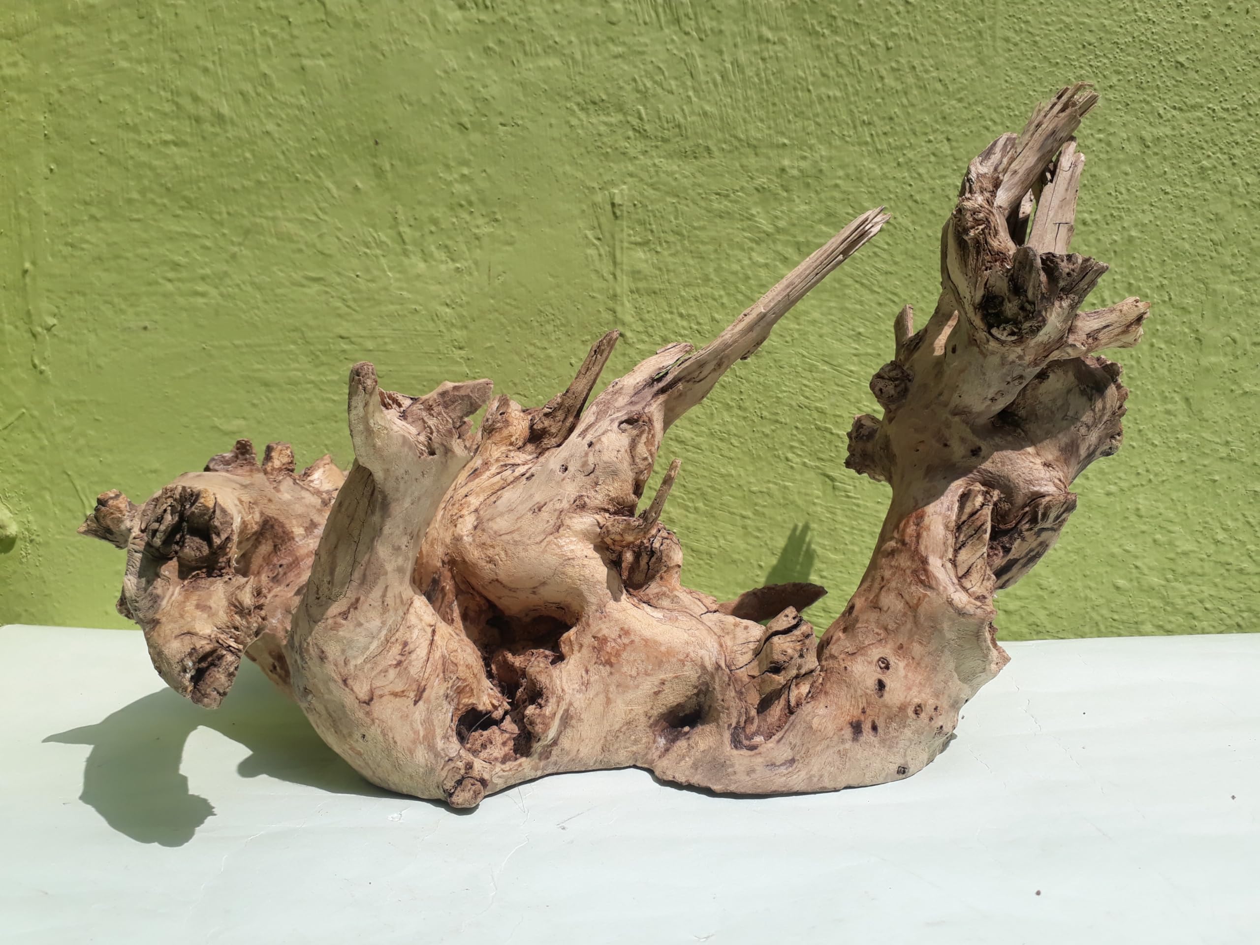 Driftwood For Aquarium Elite Original Teak wood Sanded wood (Rare Collection)