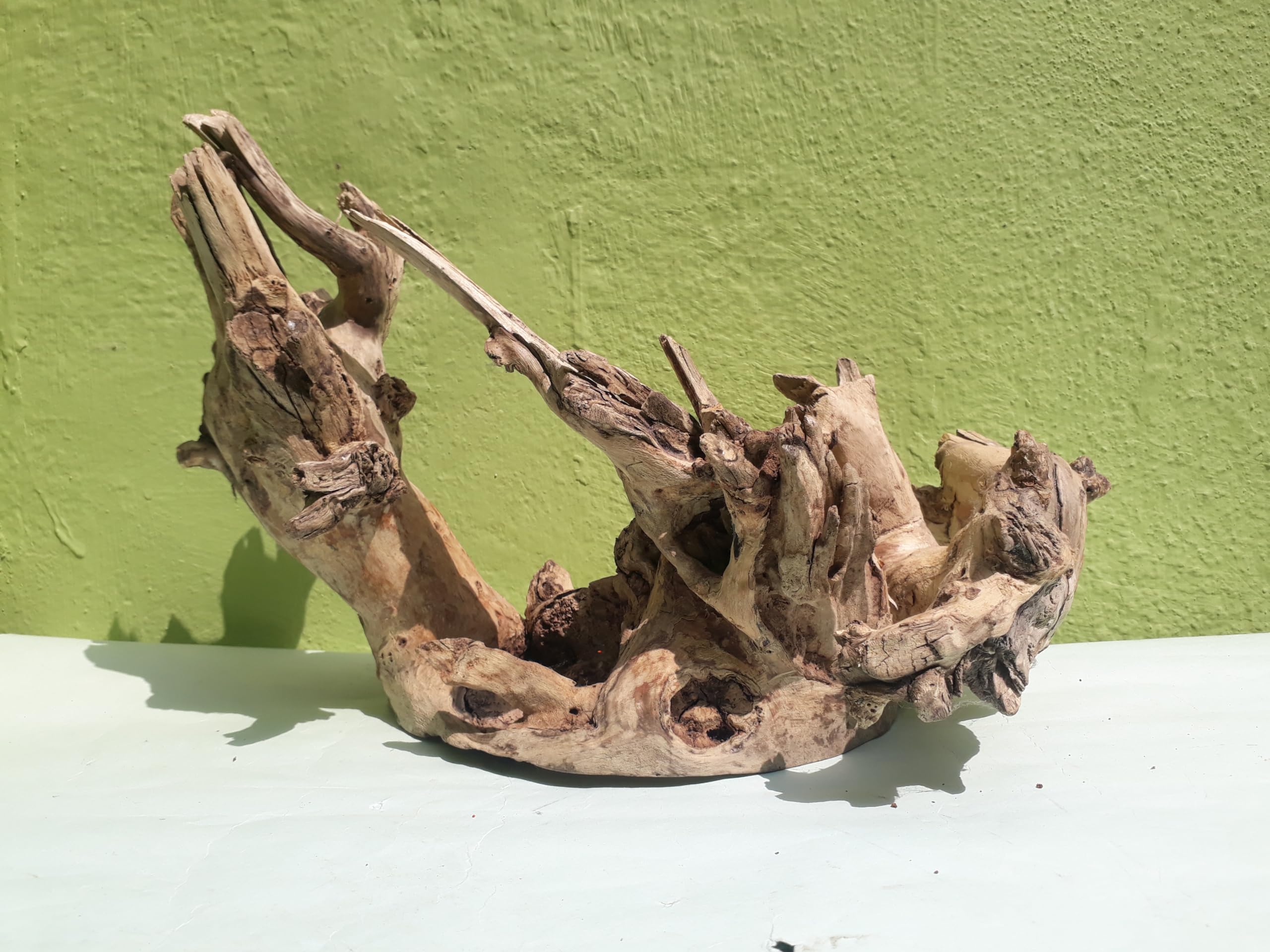 Driftwood For Aquarium Elite Original Teak wood Sanded wood (Rare Collection)