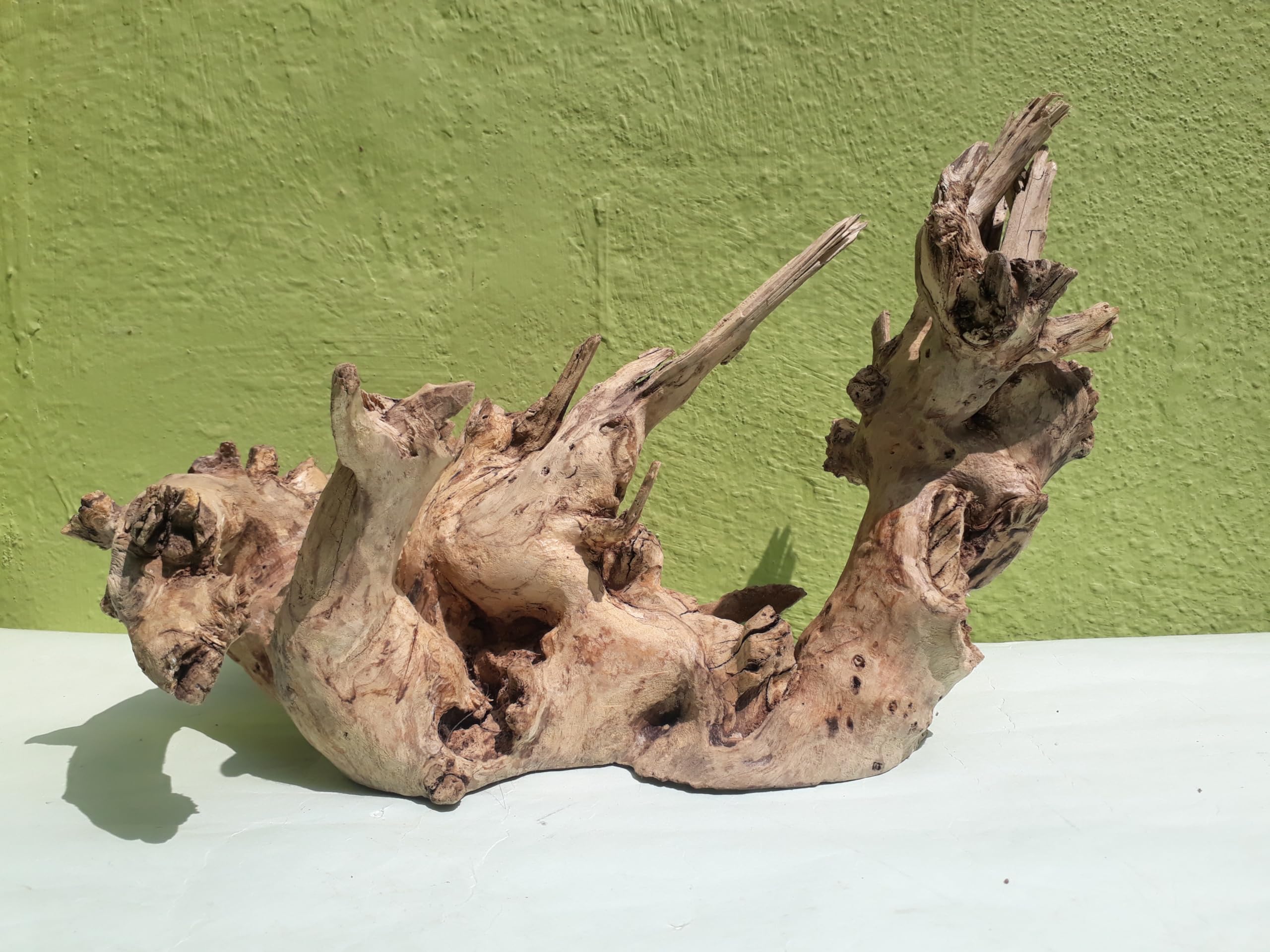 Driftwood For Aquarium Elite Original Teak wood Sanded wood (Rare Collection)