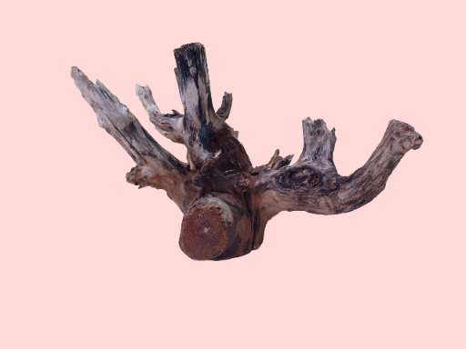 Driftwood For Aquarium Original Teak wood (dimensions approximately 40-50cm long).