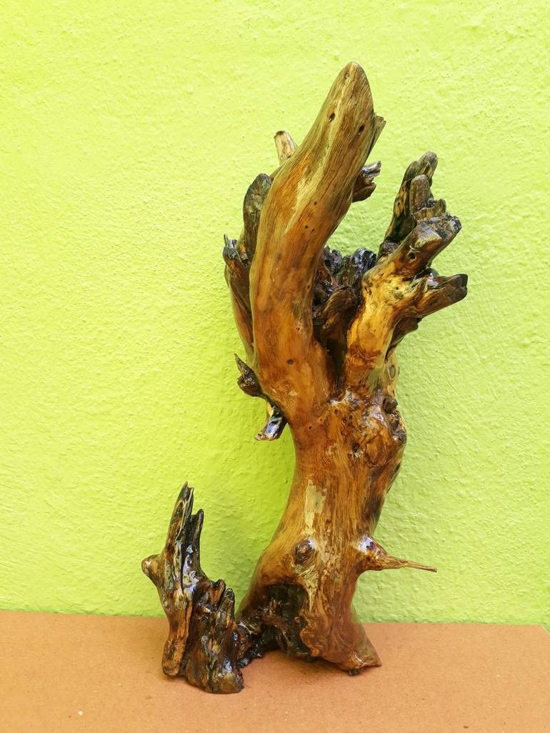 Driftwood Sculpture Desert Tree