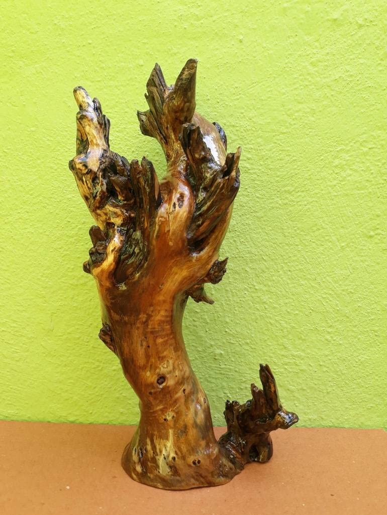 Driftwood Sculpture Desert Tree