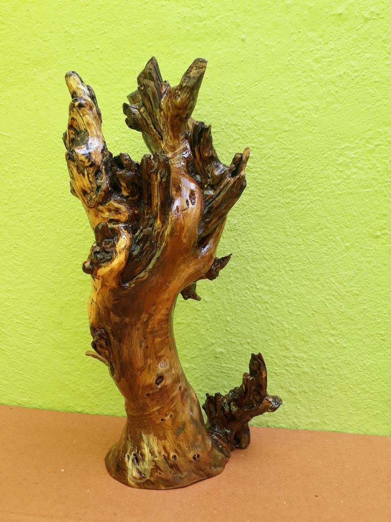 Driftwood Sculpture Desert Tree