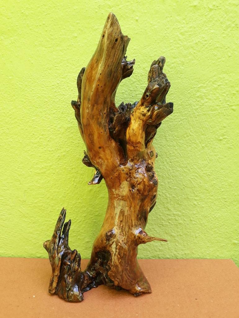 Driftwood Sculpture Desert Tree