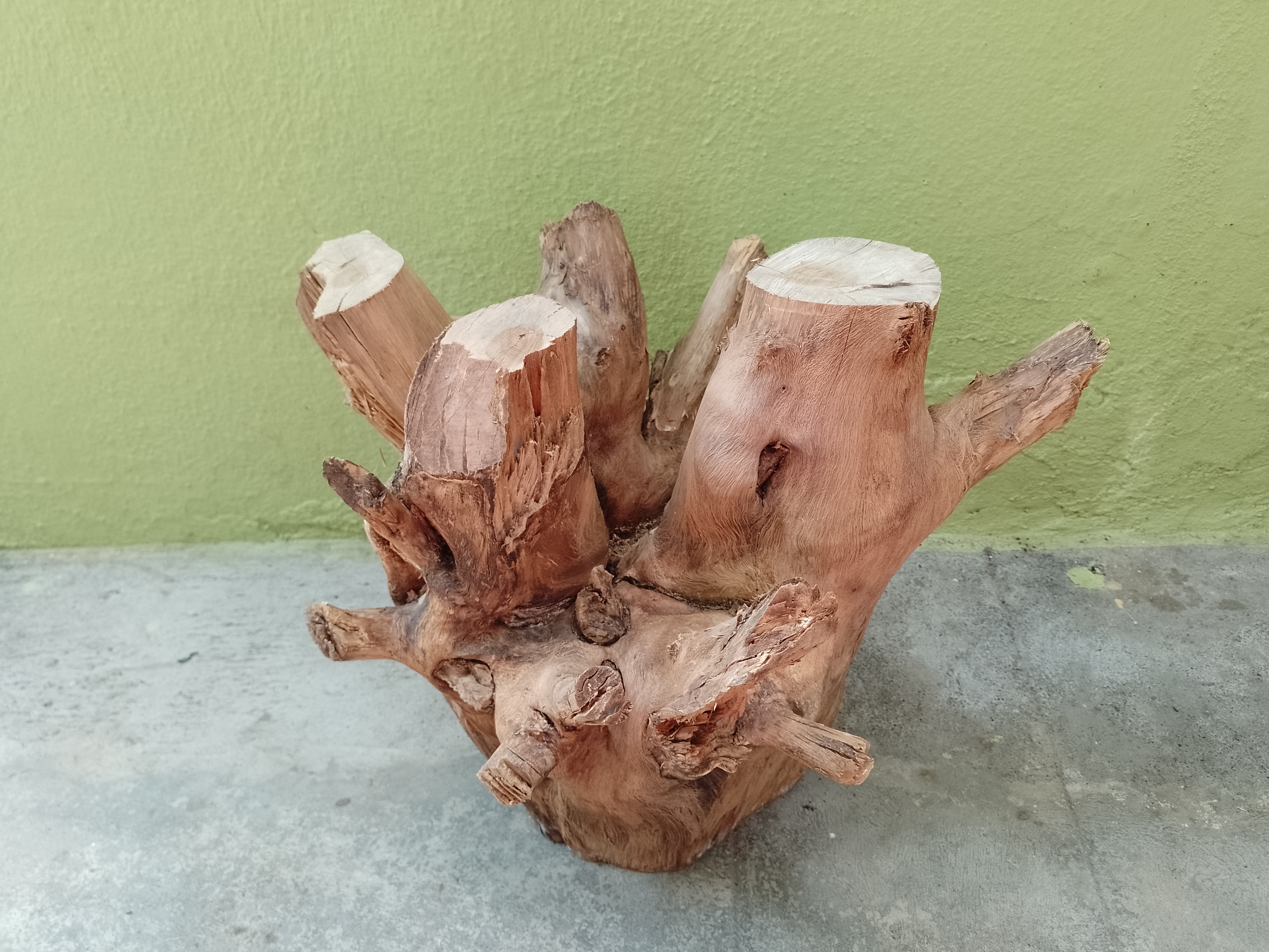 Teak Driftwood large piece Suitable for coffee table making 